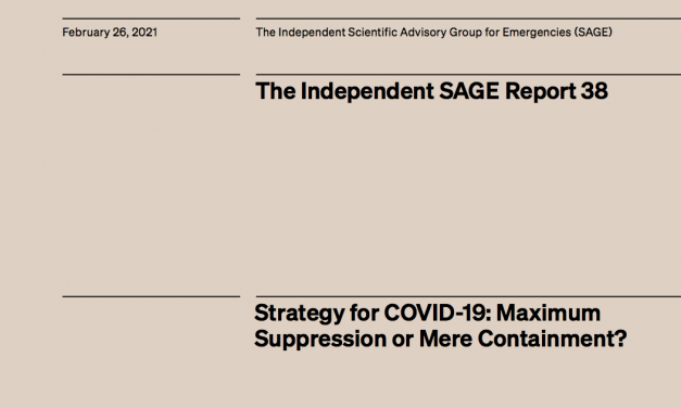 Strategy for COVID-19: Maximum Suppression or Mere Containment?