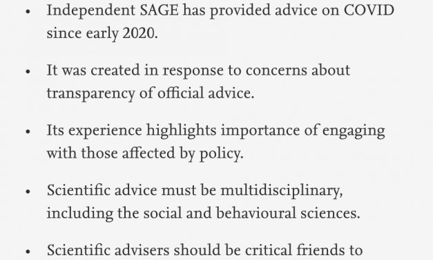 The story of Independent SAGE’s first year published in Health Policy journal